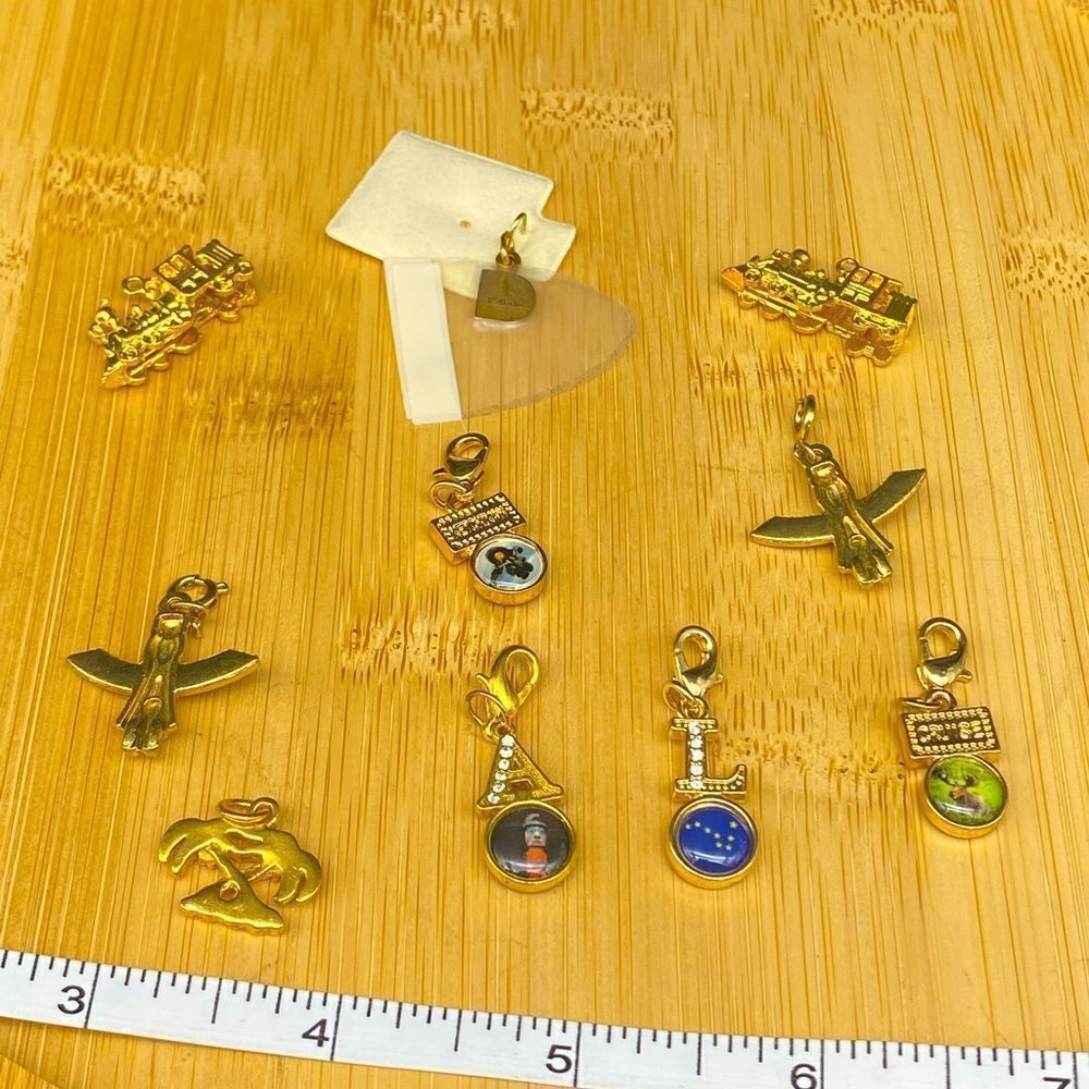 Set of 9 gold plated charms and one 1/5g 10k gold charm with a total wt of 24g